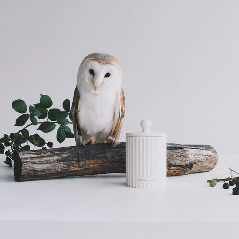 Wild Berry & Bramble Townhouse Scented Candle
