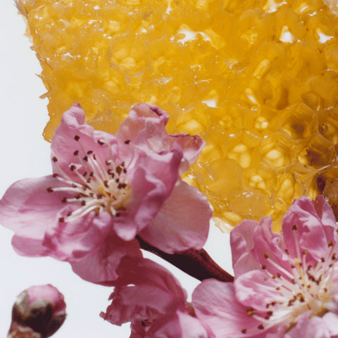 Nectarine Blossom & Honey Body Crème