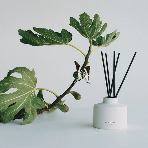 Fresh Fig & Cassis Diffuser Oil Refill