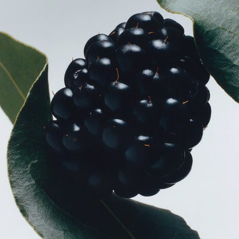 Blackberry & Bay Scented Candle