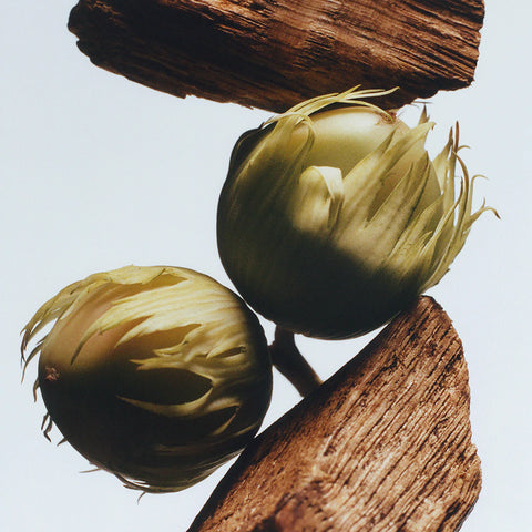 English Oak & Hazelnut Cologne