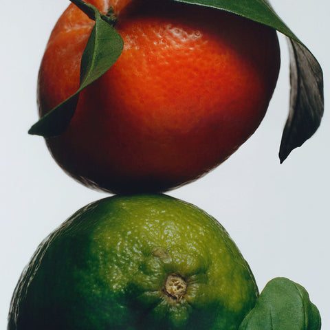 Lime Basil & Mandarin Body & Hand Lotion