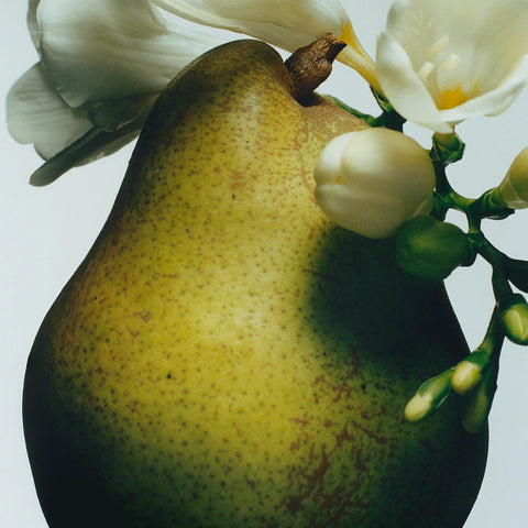 English Pear & Freesia Scented Candle